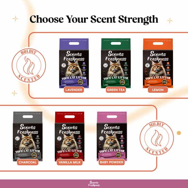 Scents Of Freshness - Premium Grade: 1 Percent Baby Powder Original Color - 2.8Kg - 2Mm (Pink)