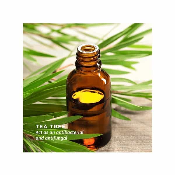 Pee Safe Natural Intimate Wash For Men - 100 Ml