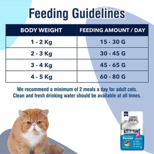 Kitty Yums Persian Adult Dry Cat Food | Ocean Fish | 7Kg Pack