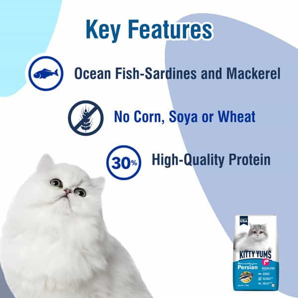 Kitty Yums Persian Adult Dry Cat Food | Ocean Fish | 7Kg Pack
