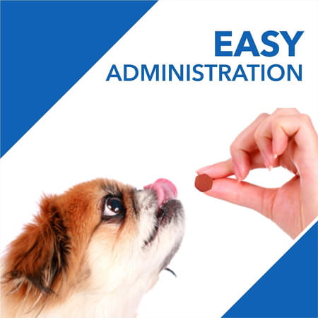 Drools Absolute Vitamin Tablet - Dog Supplement 110 Pieces