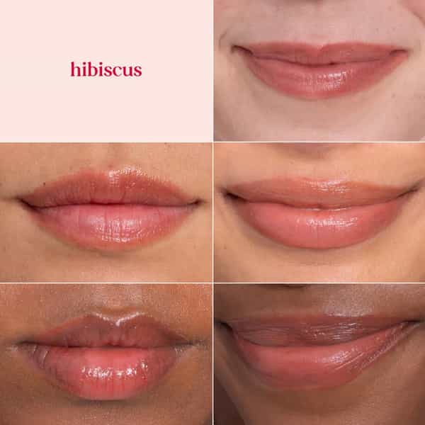 Burt's Bees Tinted Lip Balm | Hibiscus | 4.25G