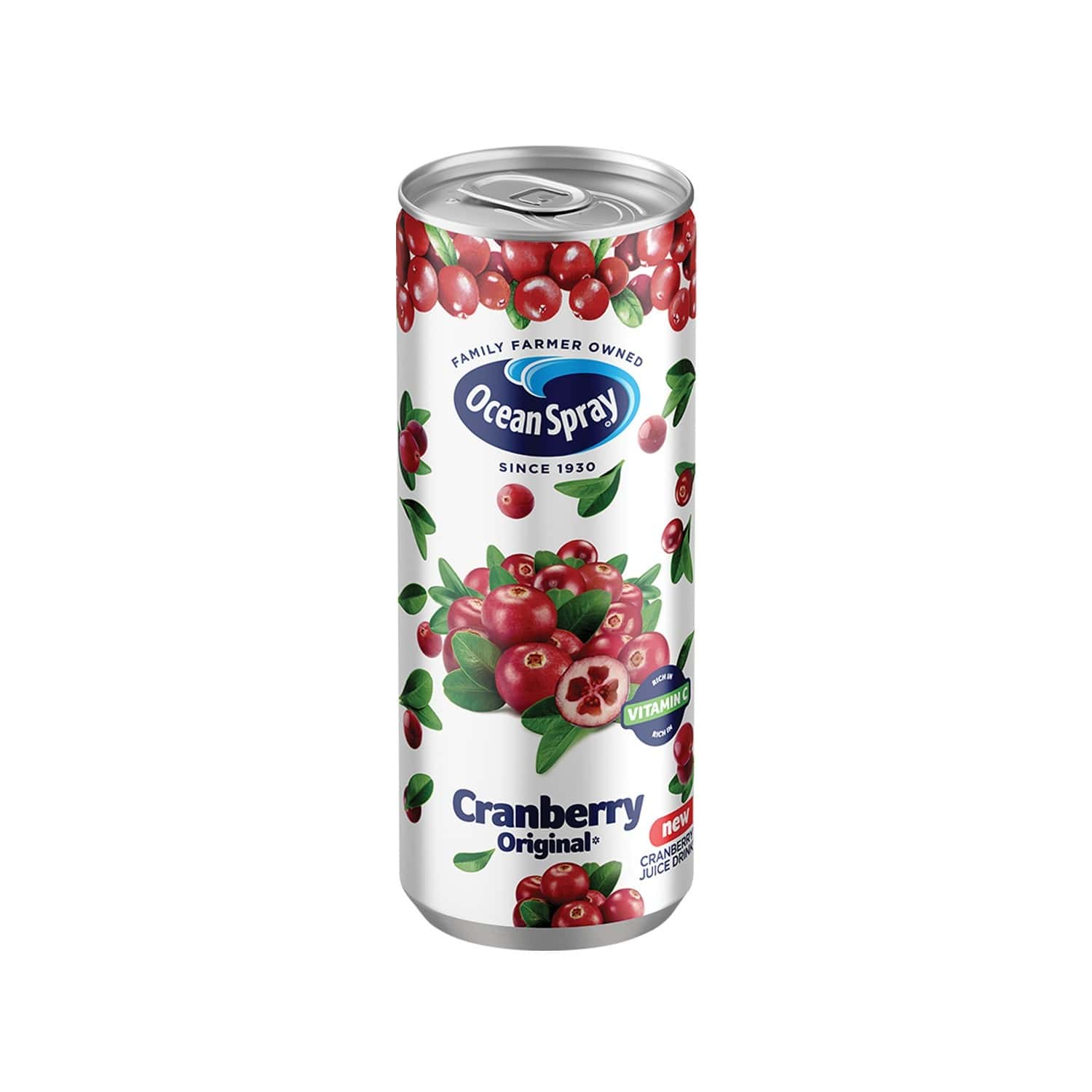 Buy OCEAN SPRAY CRANBERRY ORIGINAL 240 ML Online & Get Upto 60 OFF at