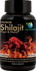 Vedapure Premium Shilajit Capsule Safed Musli For Stamina Vitality For Men 1000Mg 60 Caps Pack Of 1
