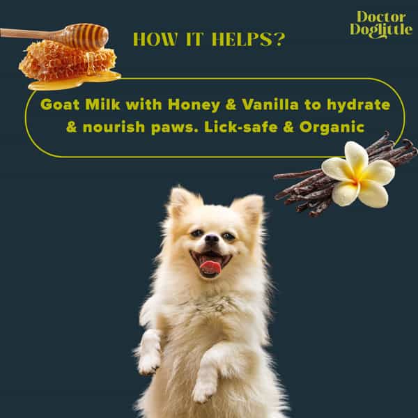 Doctor Doglittle Probiotic Dog Rough Paws & Nose Balm With Goat Milk (30 Gms)