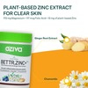 Oziva Plant Based Bettr.zinc+ For Anti-Inflammation & Acne Control Certified Vegan 60 Capsules