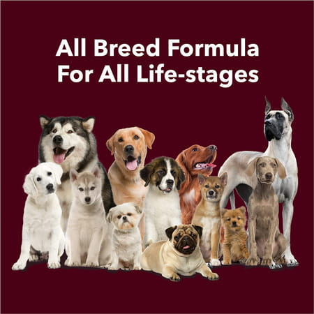 Meat Up Dog Treats Chew Bones | Calcium Flavor 230G (Buy 1 Get 1 Free) Total 460G