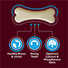 Meat Up Dog Treats Chew Bones | Calcium Flavor 230G (Buy 1 Get 1 Free) Total 460G