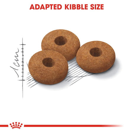 Royal Canin Appetite Control Care For Adult Cats | 400 Grams | Dry Food With Added Protein