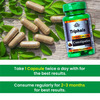 Cipzer Triphala Capsule Relief From Constipation,Liver Support,Antioxidant & Blood Sugar 60 Capsules