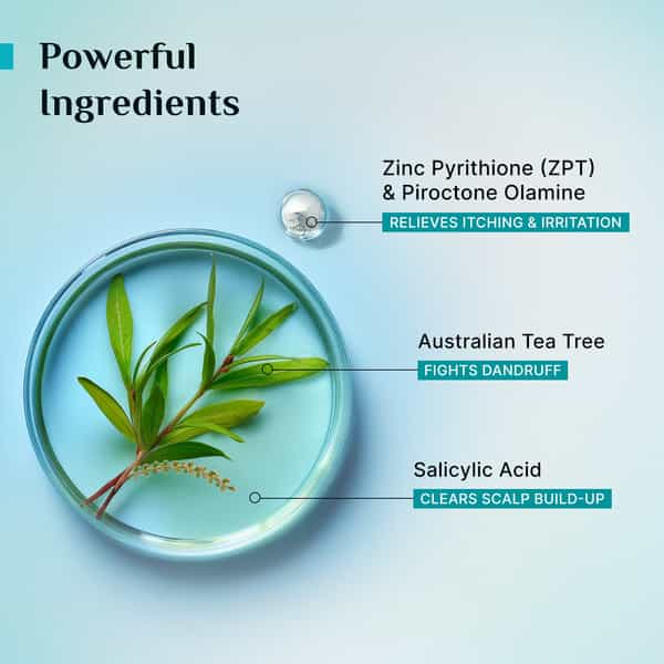 Pilgrim Australian Tea Tree Anti-Dandruff Conditioner 200 Ml