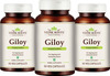Vedikroots Giloy 60 Capsules 450 Mg 100% Organic | Tinospora Cordifolia | For Digestion(Pack Of 3)
