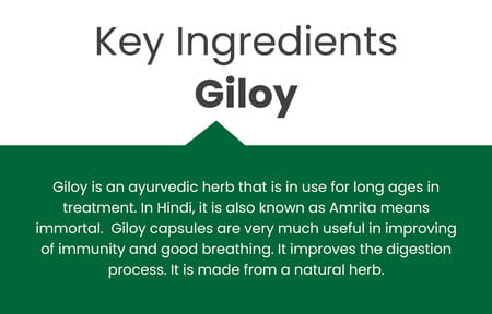 Vedikroots Giloy 60 Capsules 450 Mg 100% Organic | Tinospora Cordifolia | For Digestion(Pack Of 3)