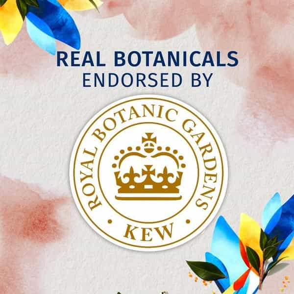 Herbal Essences Bio Renew Strength Whipped Cocoa Butter Conditioner - 400Ml