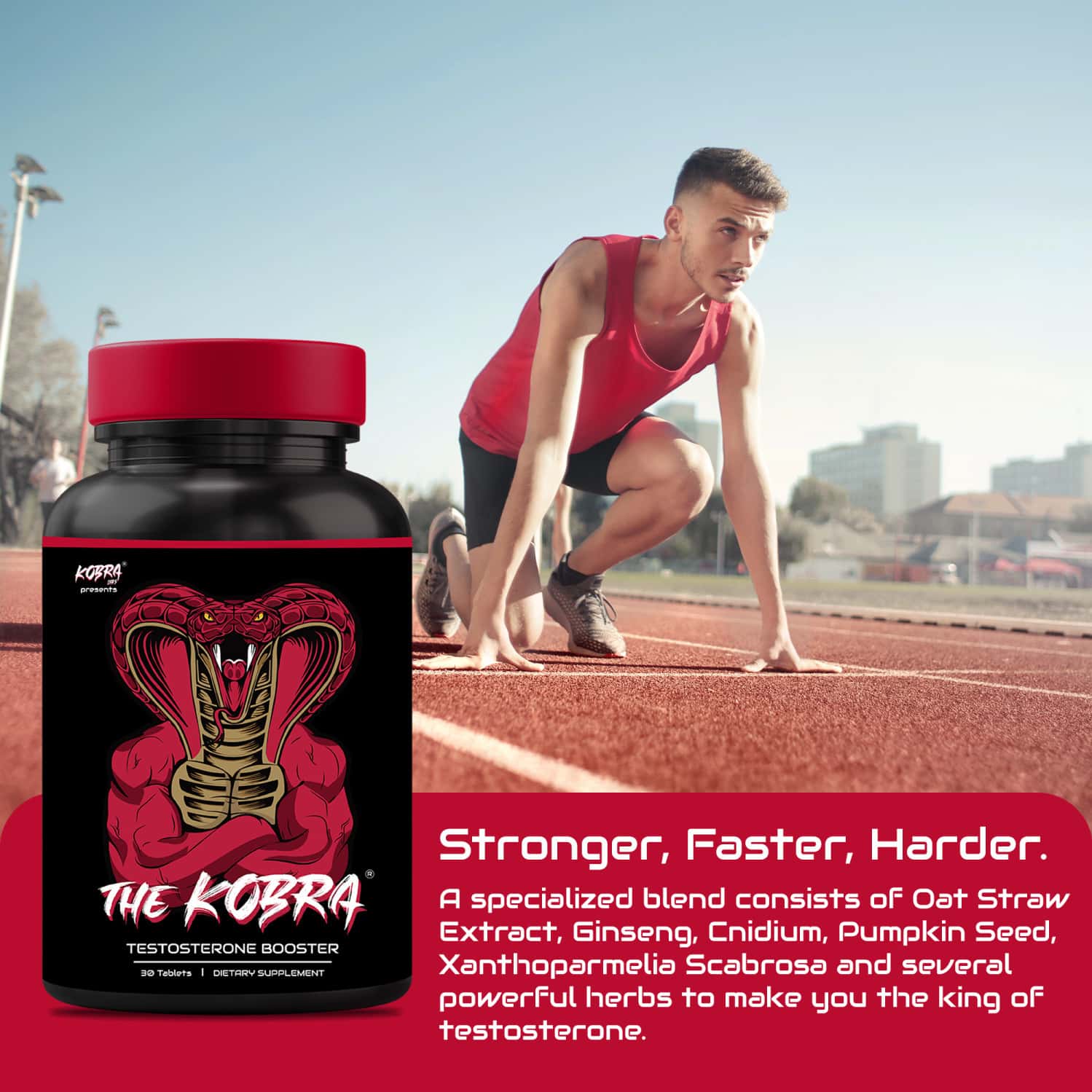 Buy KOBRA LABS TESTOSTERONE BOOSTER FOR MEN |FOR PERFORMANCE, MUSCLE ...
