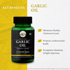 Greenopia Garlic Oil | Lashuna Taila 60 Liquid Filled Vegetarian Capsules