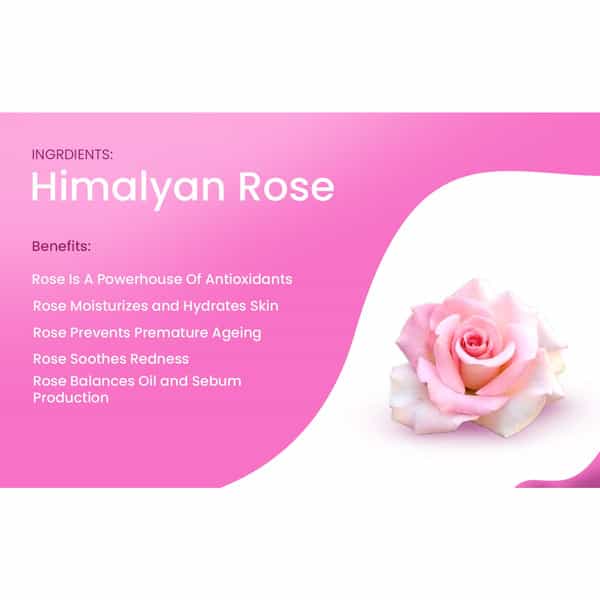 Rosa Himalayan Rose Hair & Body Wash With Mix Fruits I Shower Gel For Cleansing I Pack 1 - 500 Ml