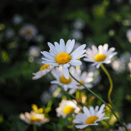 Mustela Hair Styler&Skin Freshner 200ml