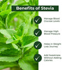 Sugar Fighter Stevia - Sugar-Free Combo - 10Ml Liquid + 100Gm Jar + 100 Tablets