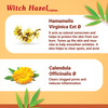 Medisynth Witch Hazel Cream | Homeopathic For Sensitive Skin | Wrinkles & Spots | B.no.199 | 20Gm X2