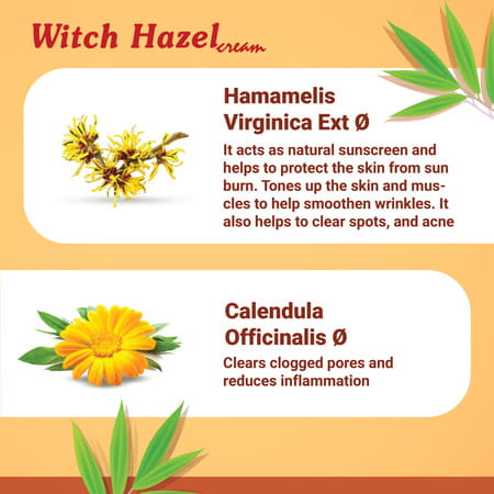 Medisynth Witch Hazel Cream | Homeopathic For Sensitive Skin | Wrinkles & Spots | B.no.199 | 20Gm X2