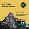 Greencure Original Himalayan Shilajit Resin (20G) Shilajeet / Silajit