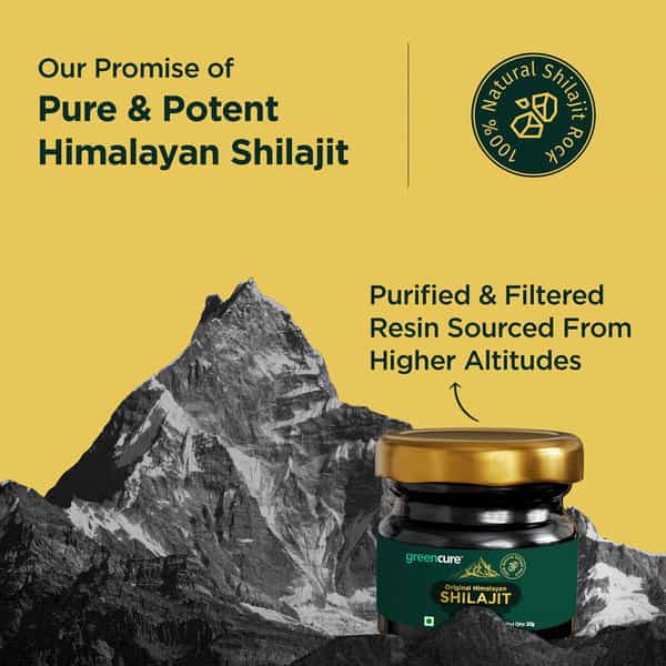 Greencure Original Himalayan Shilajit Resin (20G) Shilajeet / Silajit