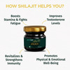 Greencure Original Himalayan Shilajit Resin (20G) Shilajeet / Silajit