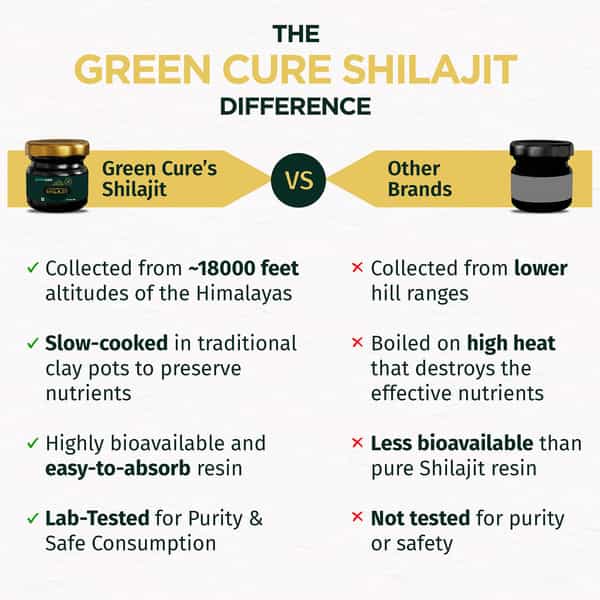Greencure Original Himalayan Shilajit Resin (20G) Shilajeet / Silajit