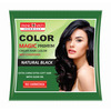 Panchvati Herbal Magic Premium Natural Black Hair Color With Conditioner Natural Color Pack Of-12