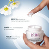 Lotus Herbals Whiteglow Skin Whitening & Brightening Nourishing Night Crme 40 Gm