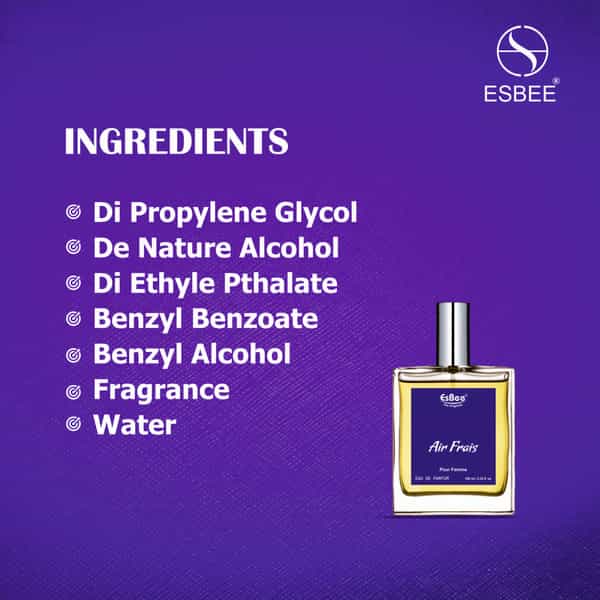 Esbee Air Frais Luxury Perfume For Women | Long Lasting Eau De Perfume 100Ml I Pack Of 1