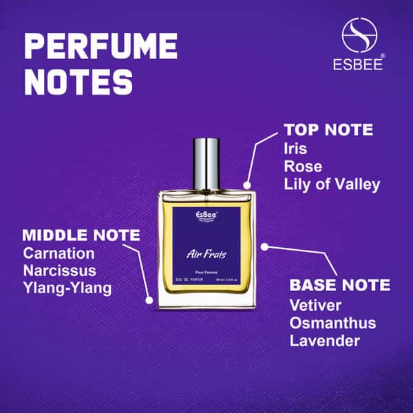 Esbee Air Frais Luxury Perfume For Women | Long Lasting Eau De Perfume 100Ml I Pack Of 1