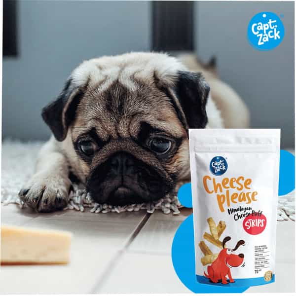 Captain Zack Dog Himalayan Cheese Puff Strips/Made With Yak/Cow's Milk 100%Natural Grain Free 70G