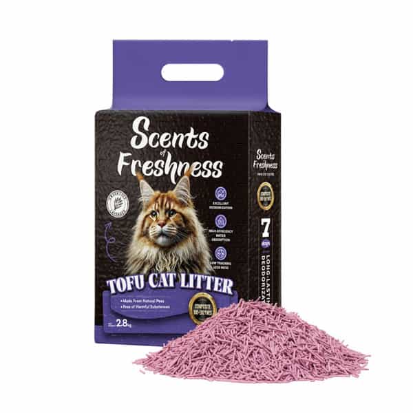 Scents Of Freshness - Premium Grade: 2 Percent Lavender Purple Color - 2.8Kg - 2Mm (Purple)
