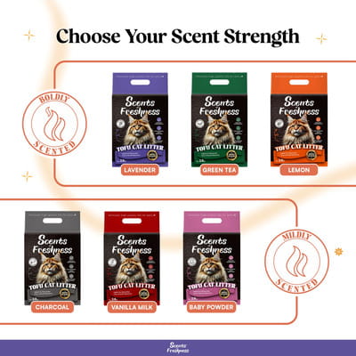 View product image 5