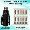 Outer Woods Insulin Cooler Bottle Case With 10 Mini Ice Gel Packs | 20+ Hrs Cooling | Large - Silver