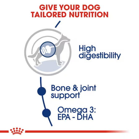 Royal Canin Maxi Adult Dog Food | 4 Kg | Dry Food | Supports Digestive Health & Optimal Health