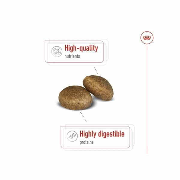 Royal Canin Maxi Adult Dog Food | 4 Kg | Dry Food | Supports Digestive Health & Optimal Health