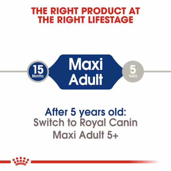 Royal Canin Maxi Adult Dog Food | 4 Kg | Dry Food | Supports Digestive Health & Optimal Health