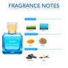 Global Desi Soulful Trance Edp 100Ml & And Chi Connect Body Mist 200Ml