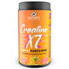 Naturyz Creatine X7 Post Workout Supplement With 7 Blends & Matrix For Lean Body -450G(Mango Orange)