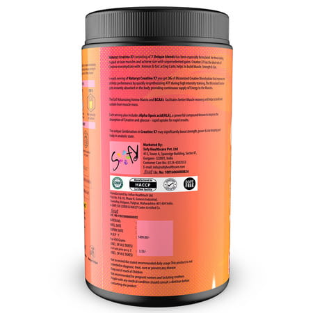 Naturyz Creatine X7 Post Workout Supplement With 7 Blends & Matrix For Lean Body -450g(Mango Orange)