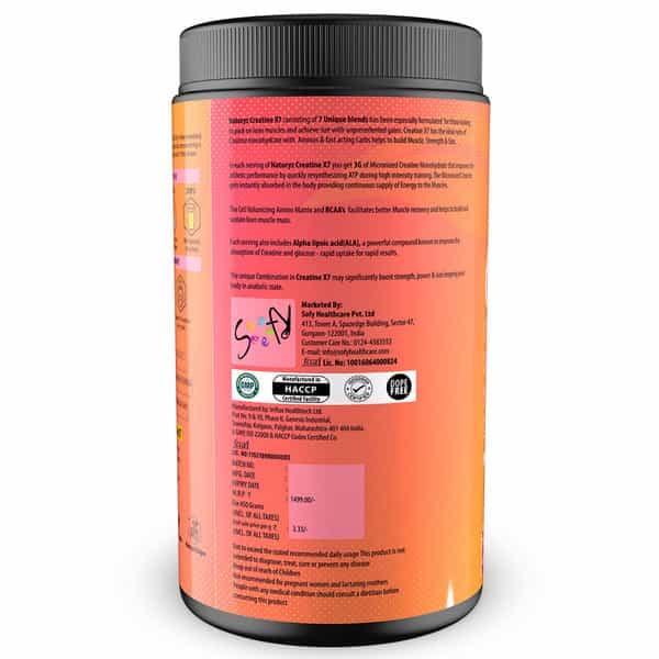 Naturyz Creatine X7 Post Workout Supplement With 7 Blends & Matrix For Lean Body -450G(Mango Orange)