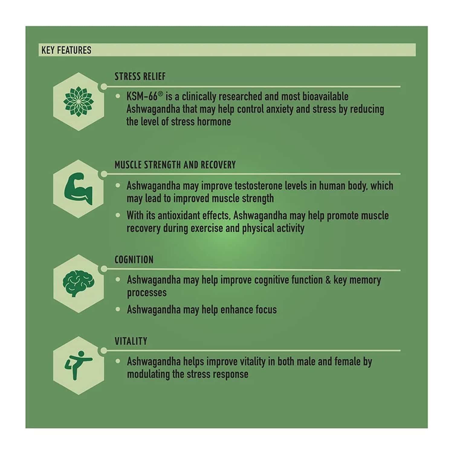 Buy TRUEBASICS FISH OIL + ASHWAGANDHA, 60 CAPSULE(S)/PACK Online & Get