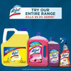 Lizol Disinfectant Surface Cleaner Lavender - 2L