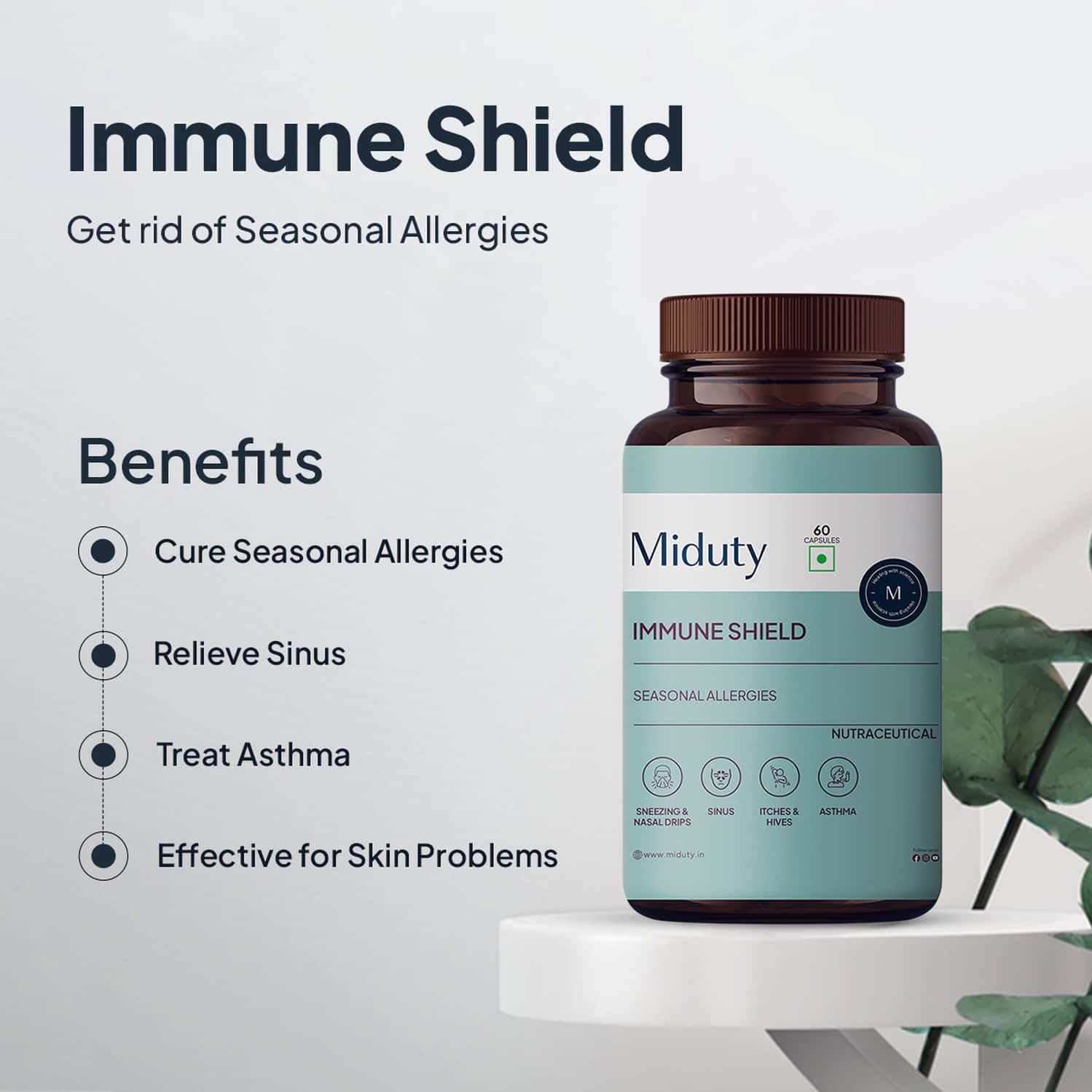 Buy MIDUTY PALAK NOTES IMMUNE SHIELD SEASONAL ALLERGIES BOOST IMMUNITY ASTHMAALLERGY 60