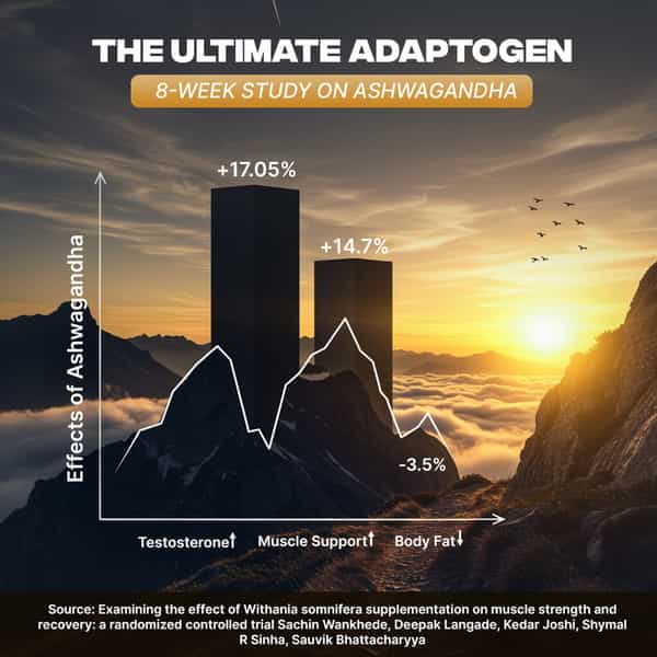 Beastlife Testo Booster+ Capsules 60N