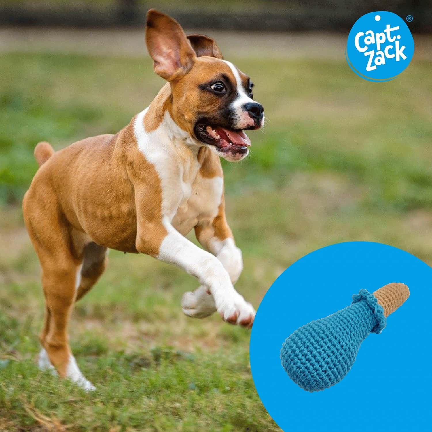 Buy CAPTAIN ZACK CROCHET CHICKEN DRUMSTICK DOG TOY Online & Get Upto 60