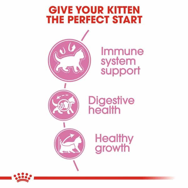 Royal Canin Second Age Kitten Food | 2 Kg | Dry Food